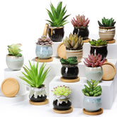 Remerry frente conjunto de 12 macetas coloridas muestra decoración