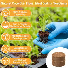 Riare textura fibrosa de coir, mejora aireación y retención de humedad