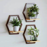 Rioneta estante hexagonal frontal mostrando acabado café y elegancia