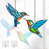 Royxen colibrí frontal mostrando colores vivos y diseño artístico