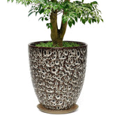 safiorois maceta frontal blanco moteado, elegante y resistente