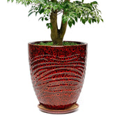 SAFIOROIS maceta frontal speckle red mostrando estilo y estabilidad
