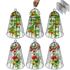Sapbontchi vista frontal del pack de 6 cloches, protección inmediata