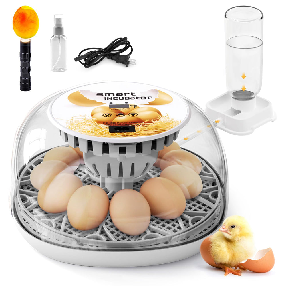 SENXINGYAN incubadora frontal con capacidad para 12 huevos y diseño compacto