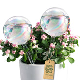 Soilagua globos de riego pack frontal, aporta hidratación decorativa