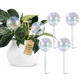 Soilagua globo frontal pack mostrando brillo iridiscente y fácil riego