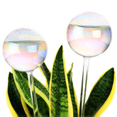 Soilagua regadores iridiscentes pack frontal, aporta riego decorativo