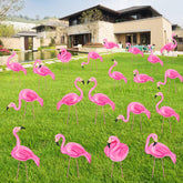 Subacy caja frontal con 20 flamencos rosas mostrando variedad y facilidad de instalación