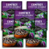 SURVIVAL GARDEN SEEDS empaque frontal de semillas de consuelda mostrando presentación