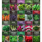 SURVIVAL GARDEN SEEDS paquete frontal con 20 variedades, fácil identificación