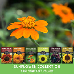 SURVIVAL GARDEN SEEDS girasoles en maceta listos para decorar balcones