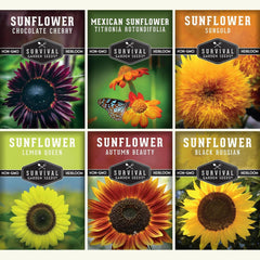 SURVIVAL GARDEN SEEDS empaque frontal con seis variedades, identificación clara
