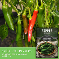 SURVIVAL GARDEN SEEDS planta en maceta con múltiples frutos saludables