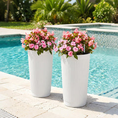 TUYOHW maceta con monstera en uso ideal para decorar sala o patio