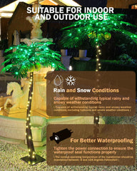 TYBEEU primeros planos de cocos luminosos realzan decoración