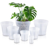 Vesici pack frontal de 24 macetas transparentes, ideal para viveros