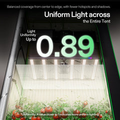 VIVOSUN LumaLight en carpa mostrando iluminación homogénea de cultivo