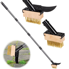 Walensee vista frontal de la herramienta montada para limpieza precisa