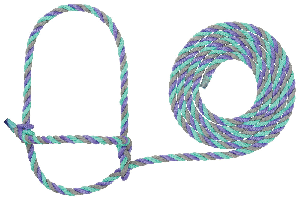 Weaver Livestock halter frontal mostrando diseño y colores para identificación