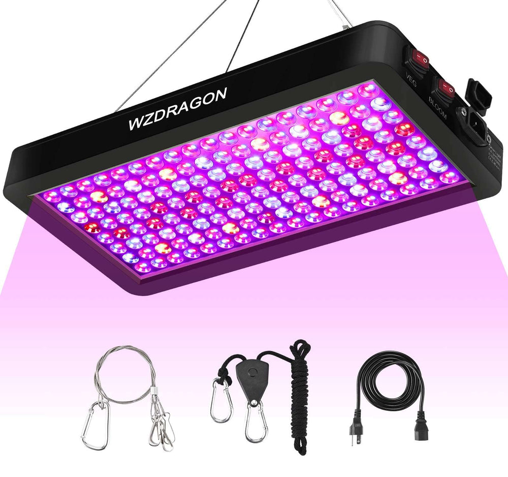 WZDRAGON vista frontal de la BW2000 mostrando diseño y distribución de LEDs