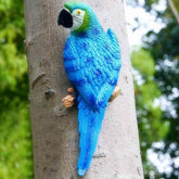 XKFLAUHM loro frontal en paquete mostrando diseño y color
