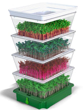 ZESTIGREENS vista frontal de 4 niveles mostrando capacidad y orden