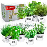ZESTIGREENS empaque frontal del kit mostrando inclusión completa