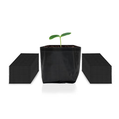 AC Infinity bolsa frente paquete mostrando 50 unidades y protección del suelo