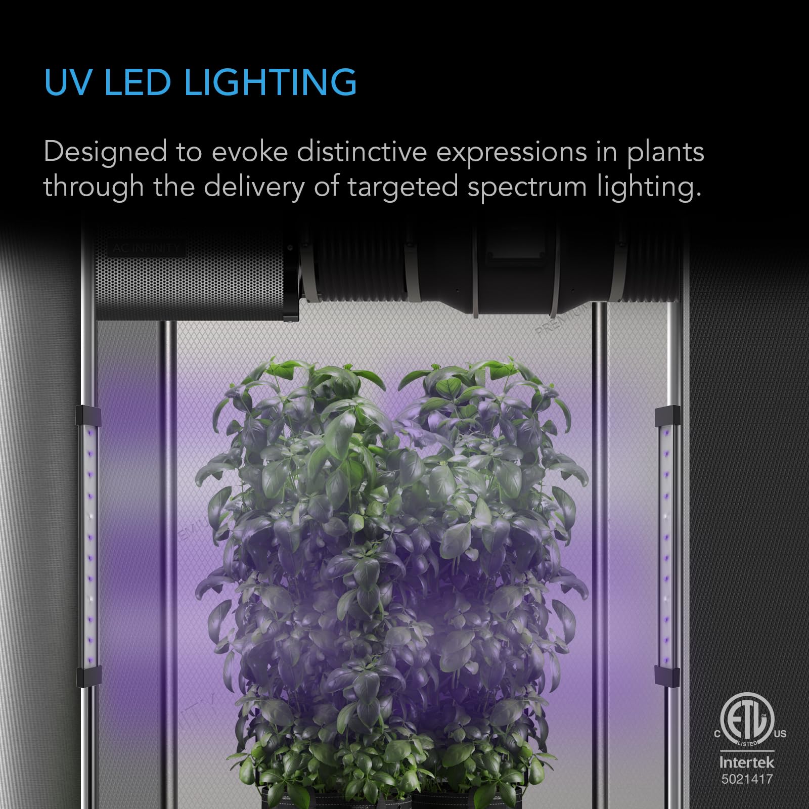AC Infinity IONBEAM U2 primer plano de LEDs UV y su patrón de emisión