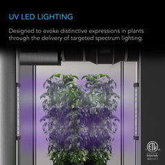 AC Infinity IONBEAM U2 primer plano de LEDs UV y su patrón de emisión