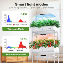 Ahopegarden planta en uso sobre encimera de cocina con verduras frescas