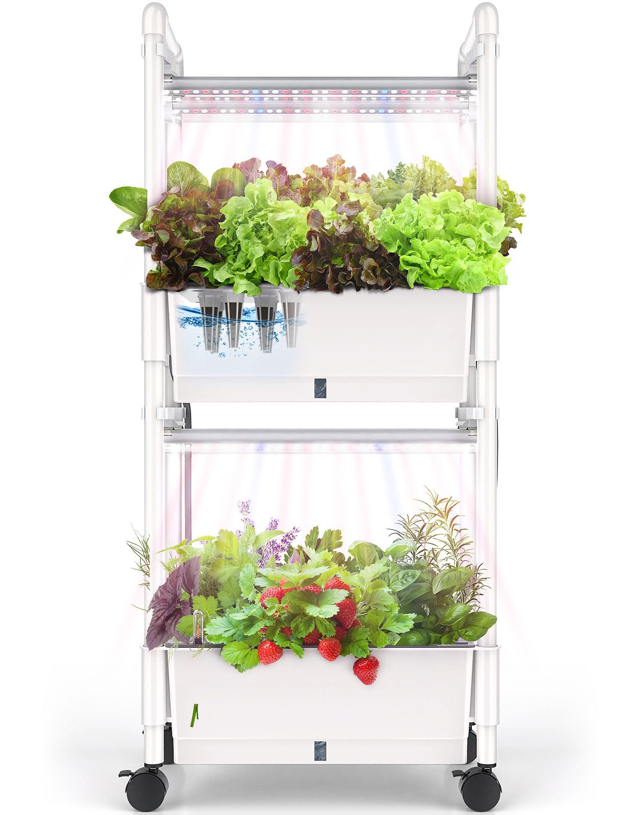 AOONEG vista frontal del sistema montado mostrando 28 pods y depósito, facilita cultivo doméstico