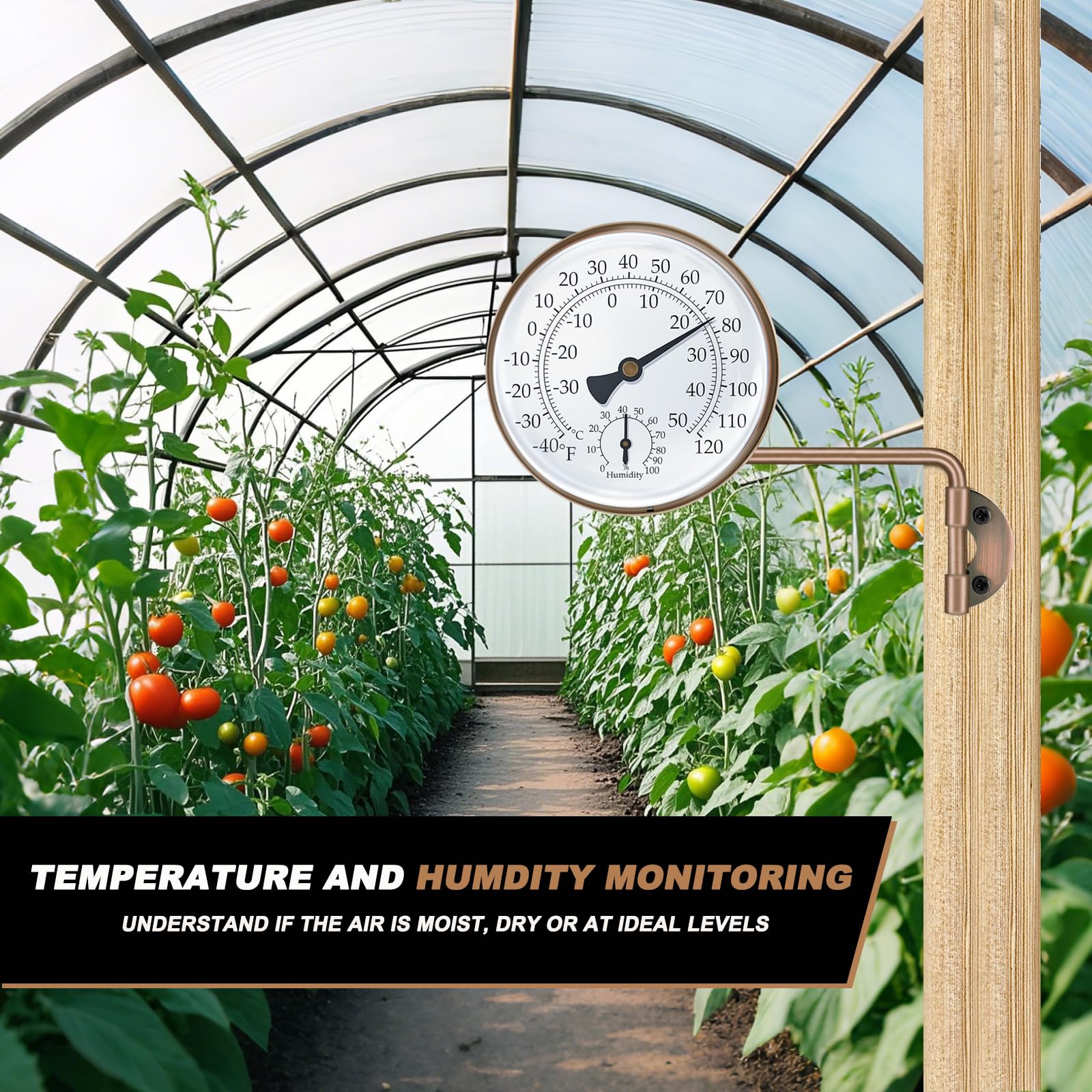 Aqqwxyq instalado en invernadero ayudando a monitorizar condiciones de cultivo