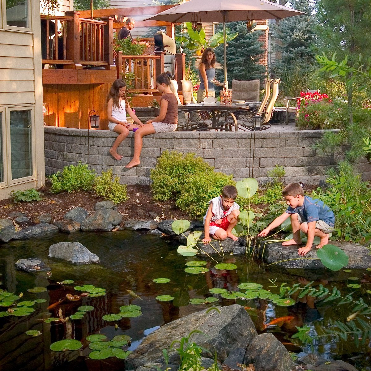 Aquascape etiqueta con instrucciones y beneficios para mantenimiento
