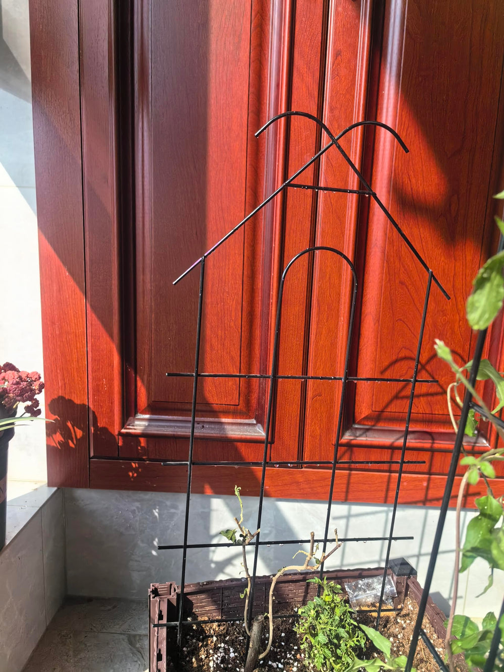 ARIFARO diseño en forma de casa que guía el crecimiento de plantas