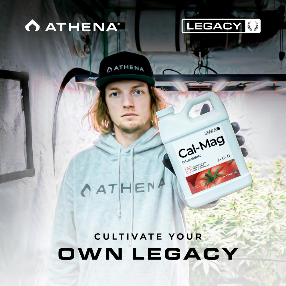 Athena producto en entorno de cultivo hidropónico demostrando uso profesional