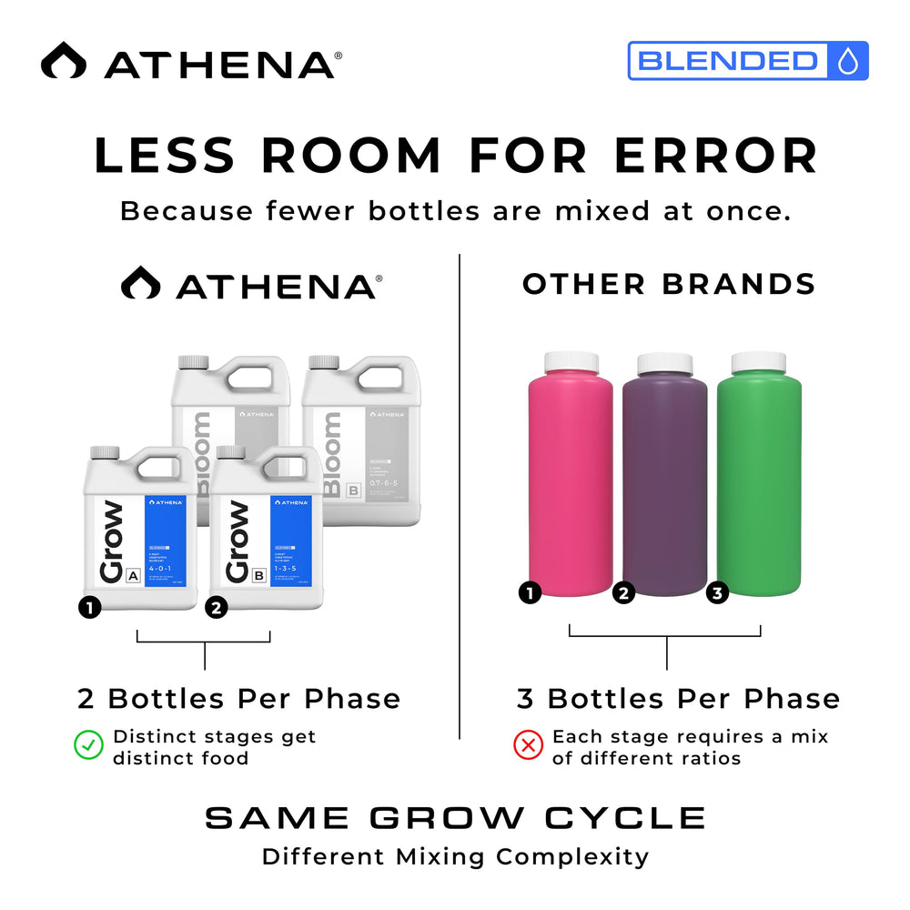 Athena plantas con raíces en hidroponía beneficiadas por nutrición equilibrada