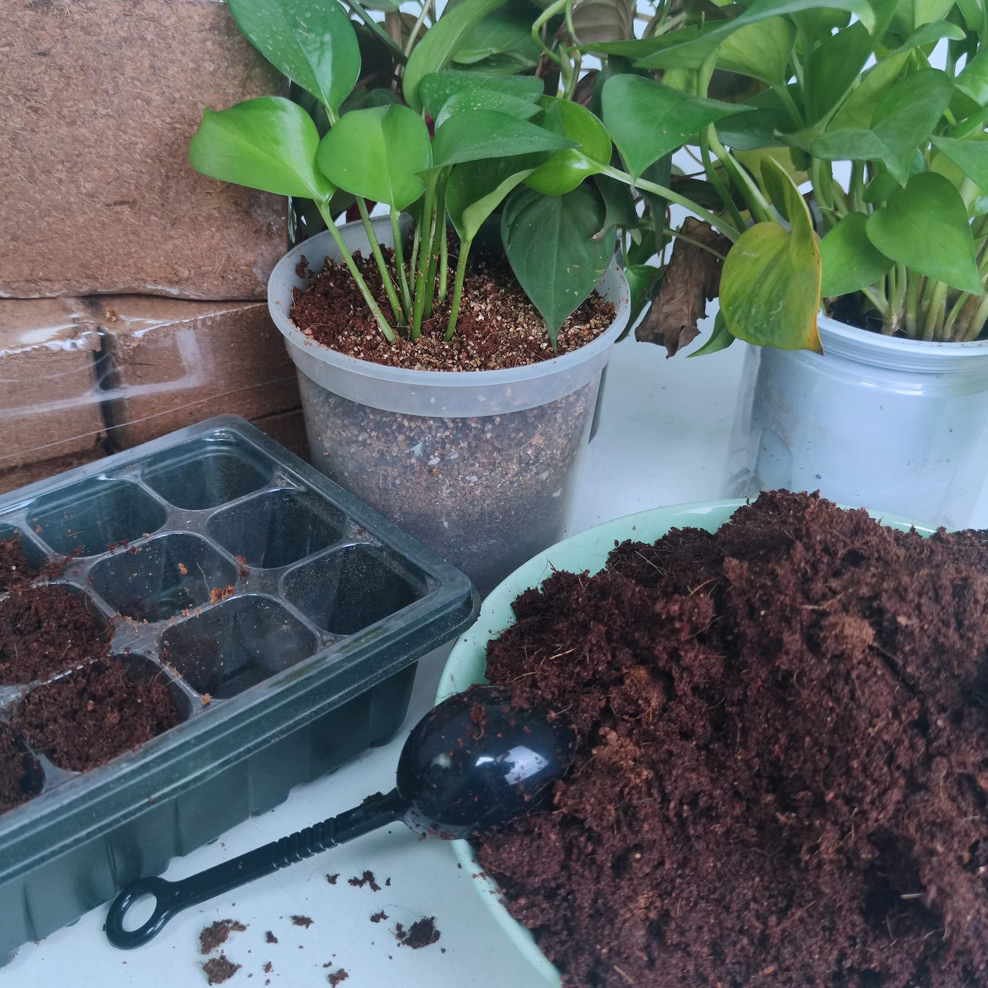 Avalution sustrato aplicado en cama elevada para hortalizas y flores vigorosas