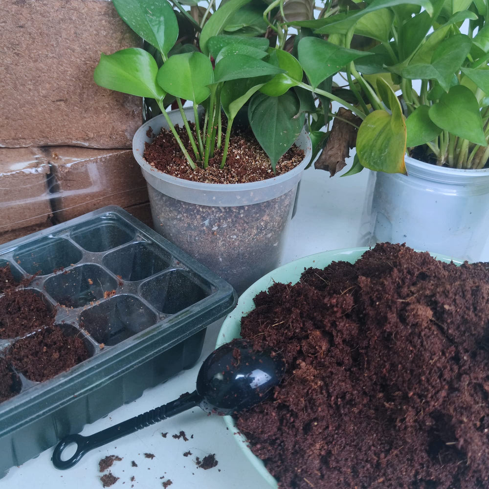 Avalution sustrato aplicado en cama elevada para hortalizas y flores vigorosas