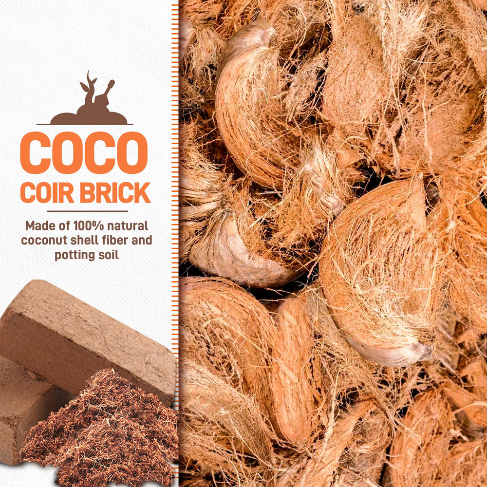 Avalution primer plano de la textura fibrosa de coco mostrando retención de agua