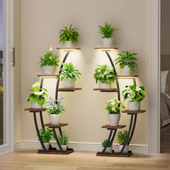 BACEKOLL detalle luz LED espectro completo con control y temporizador