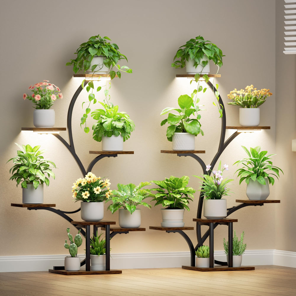 BACEKOLL estantería frontal iluminada mostrando plantas y orden