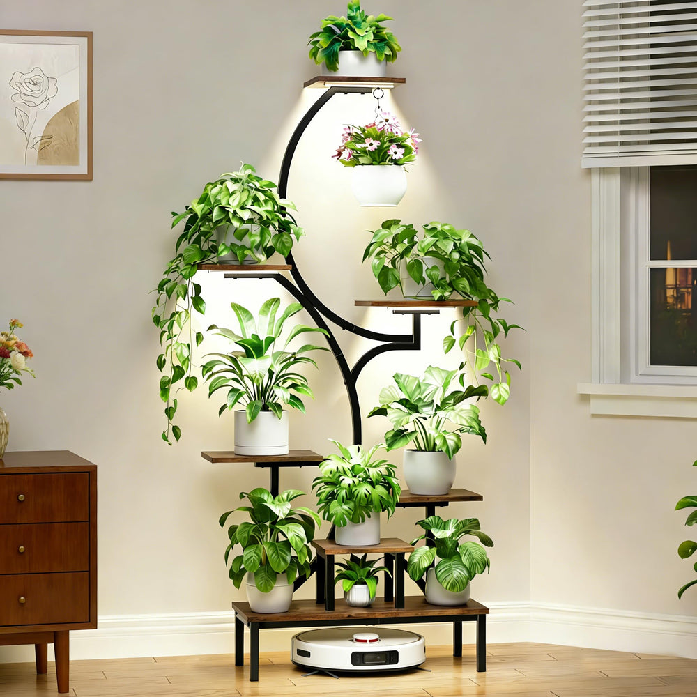 BACEKOLL vista frontal de estantería con luz y plantas, aporta orden y estilo