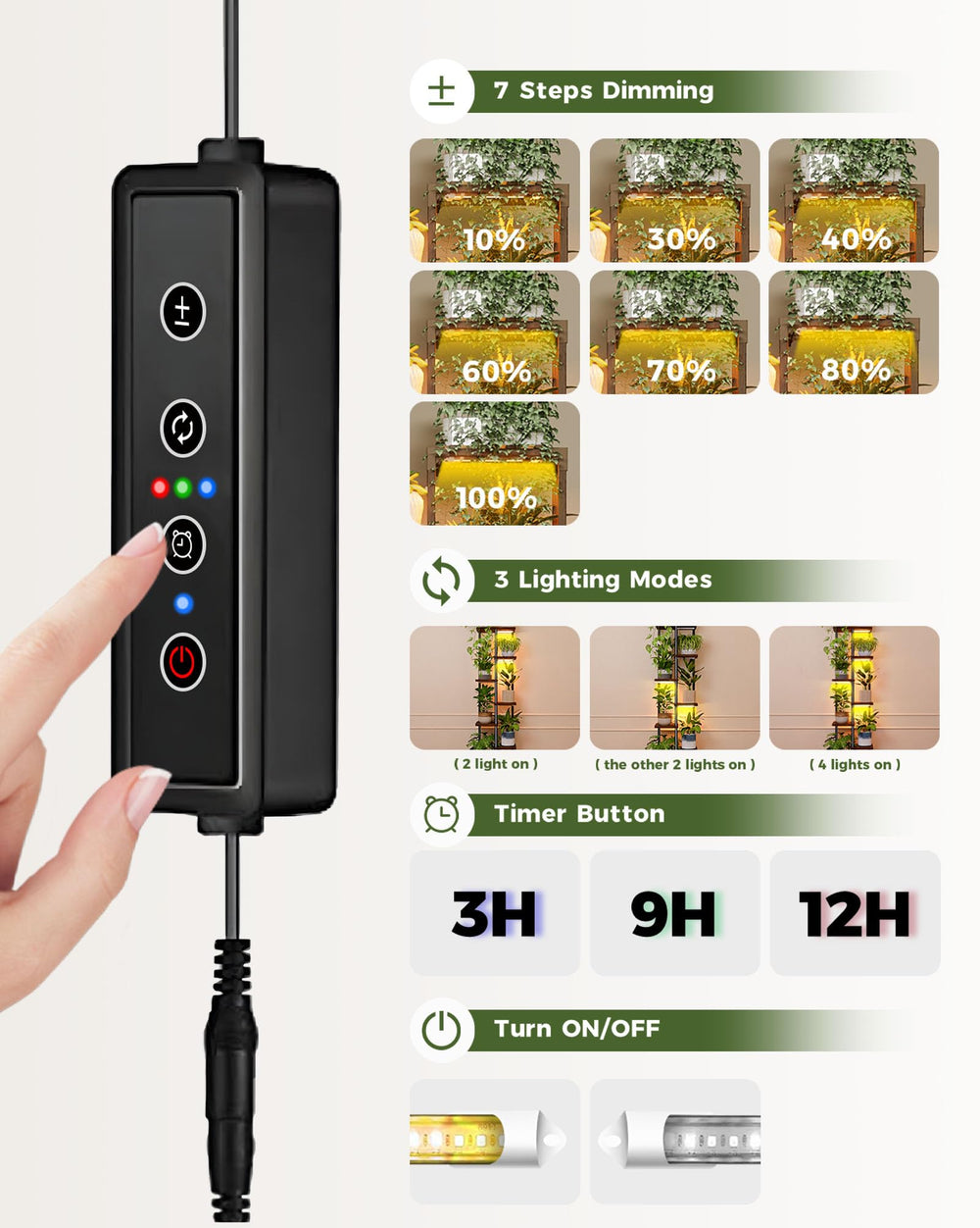 Bamworld comparación de tamaño junto a sofá para visualizar escala y compatibilidad