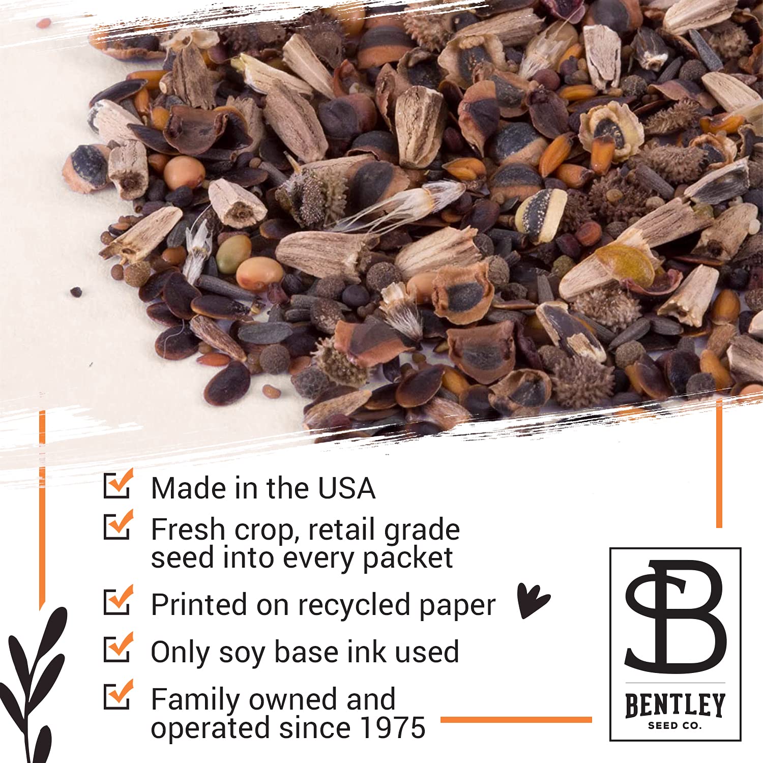 Bentley Seed Co. maceta pequeña con brotes de mostaza demostrando crecimiento rápido