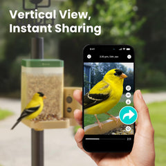 Birdfy comedero en uso con un pájaro posado mostrando observación real