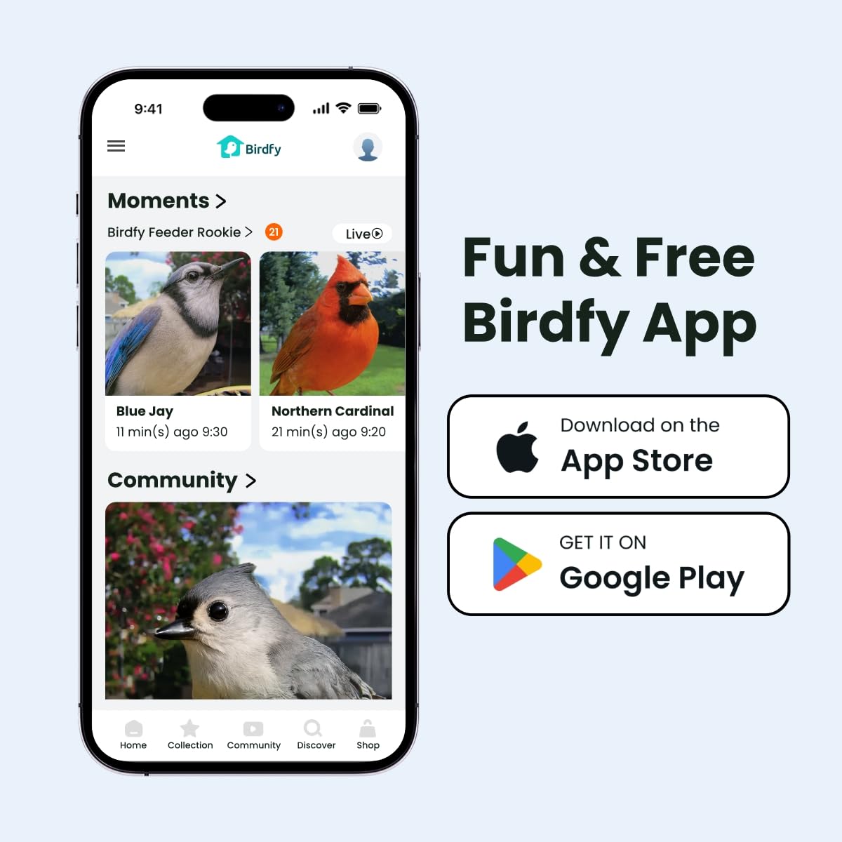 Birdfy montaje en pared desde atrás, instalación sin herramientas ni complicaciones