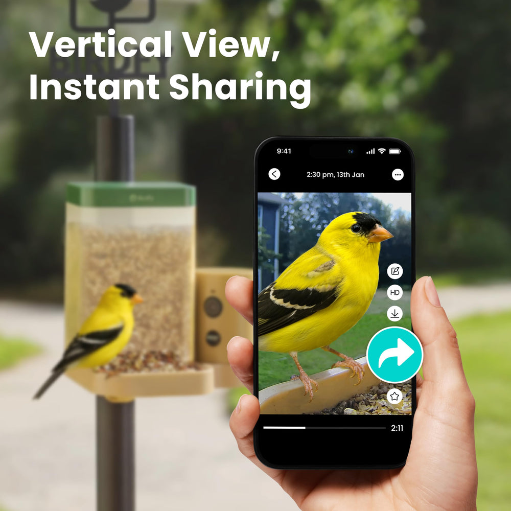 Birdfy comedero junto a ventana en uso, permite observación desde casa