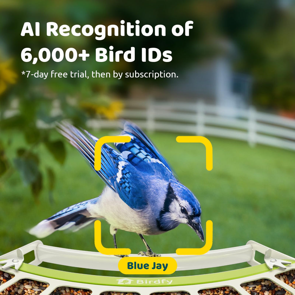 Birdfy techo magnético abierto fácil rellenado