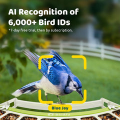 Birdfy techo magnético abierto fácil rellenado